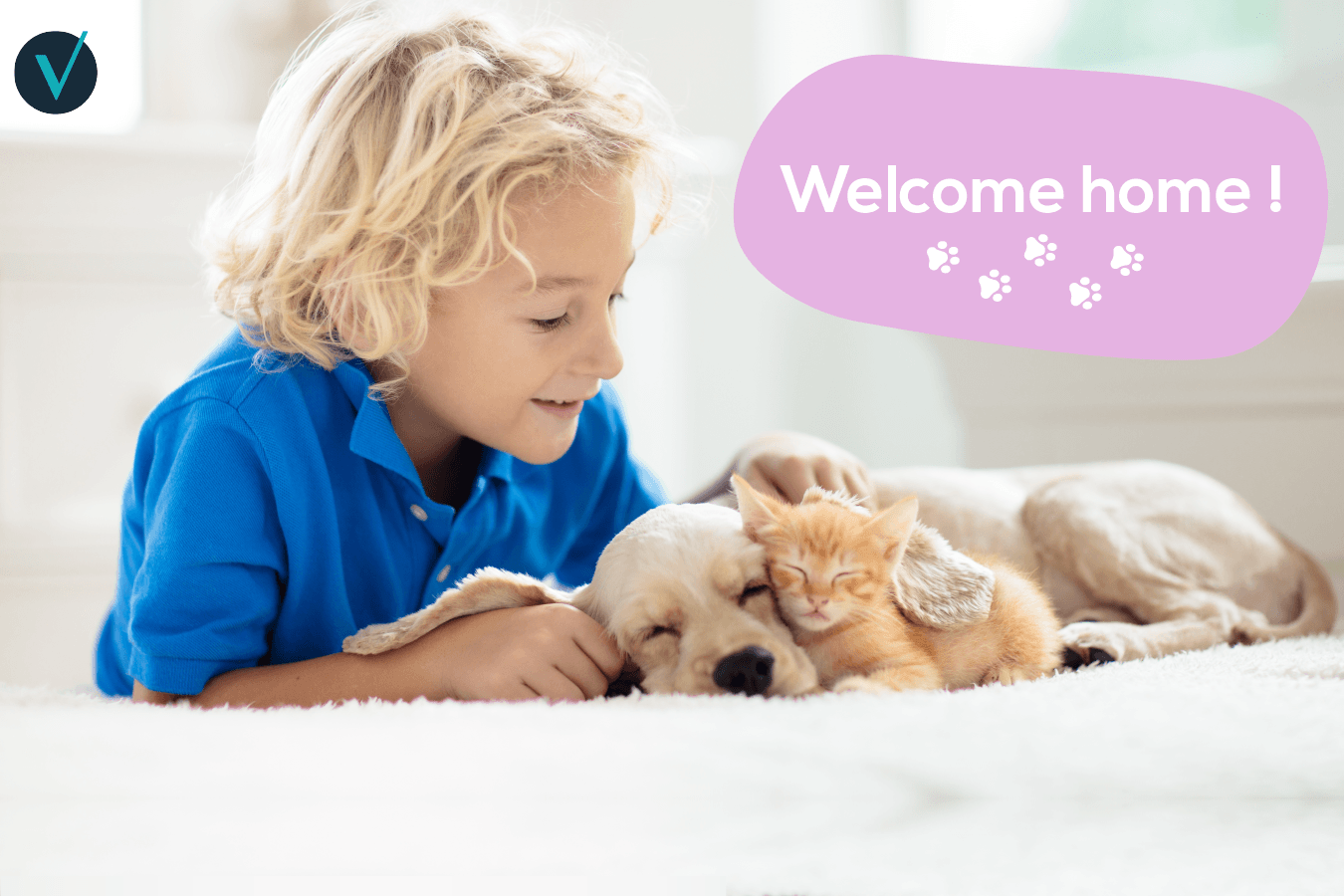 visuel article accueillir un nouvel animal 2 02