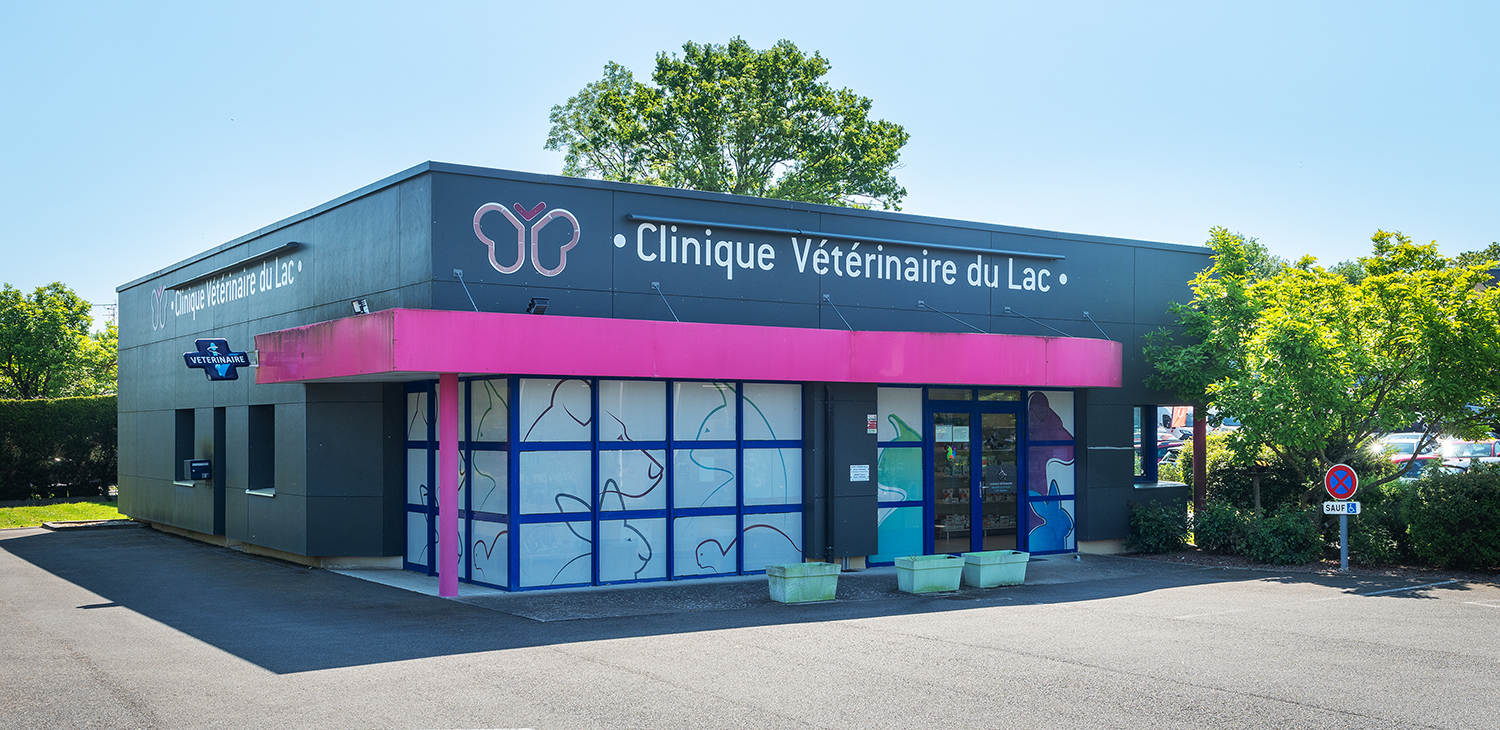 bonchamps les laval mon véto