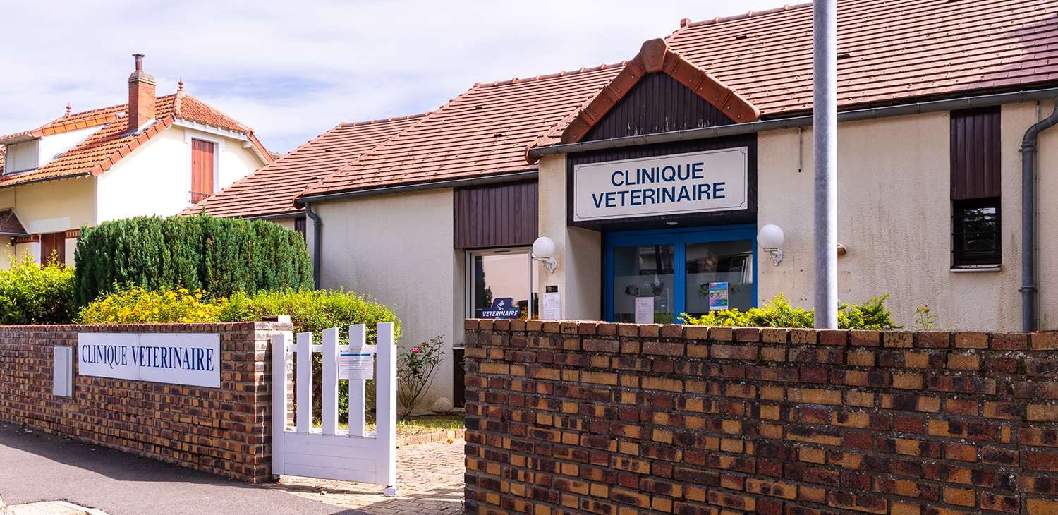 clayes sous bois mon véto