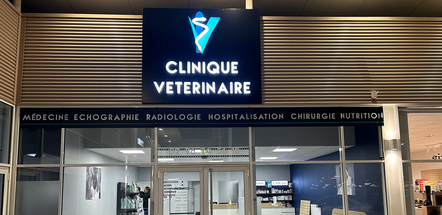 clinique plérin monveto