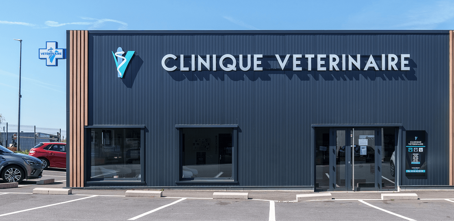 dommartin les touls mon véto