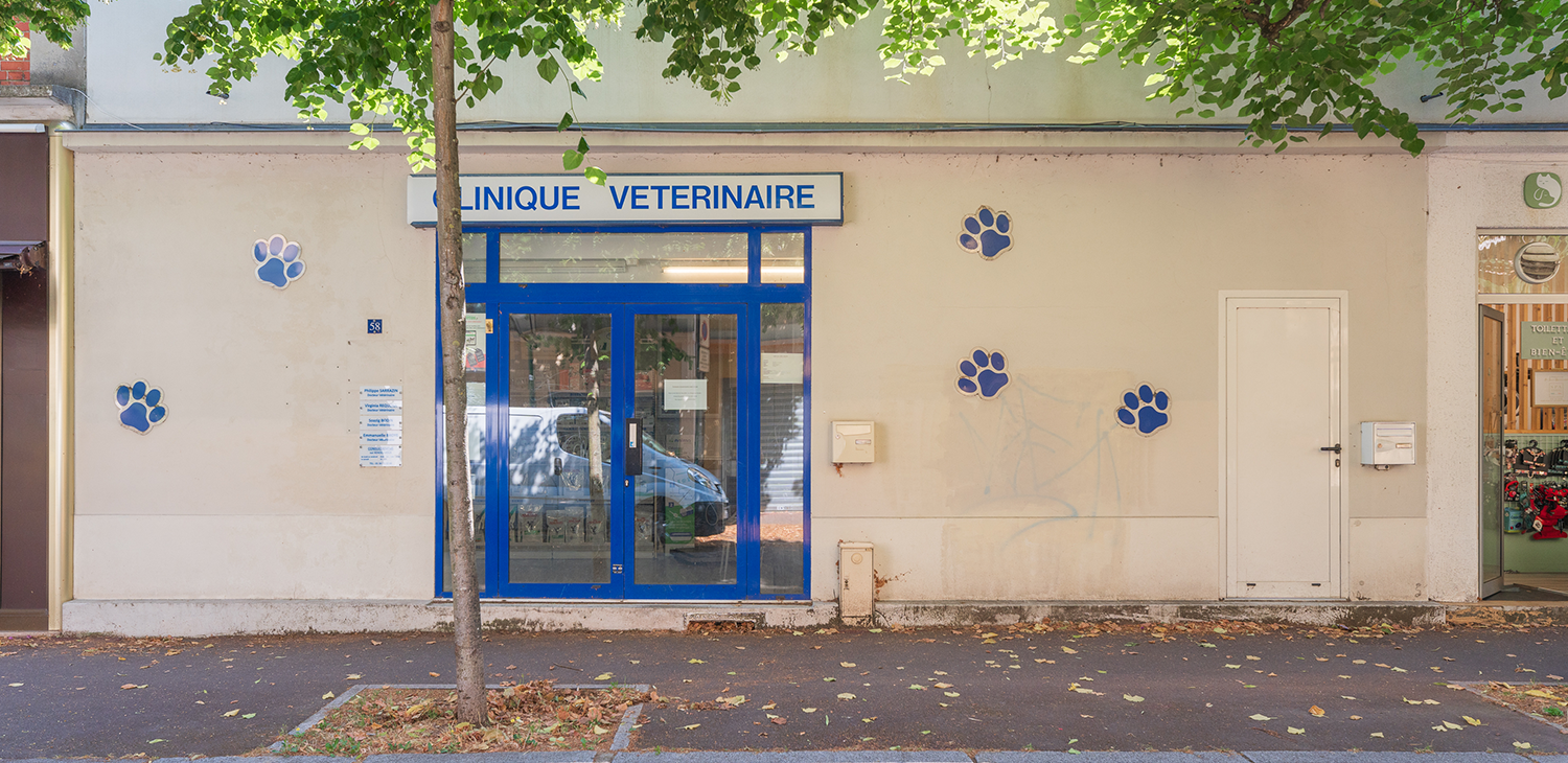 le vésinet mon véto