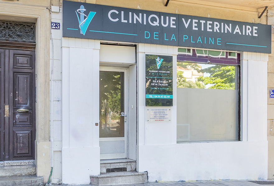 marseille la plaine mon veto