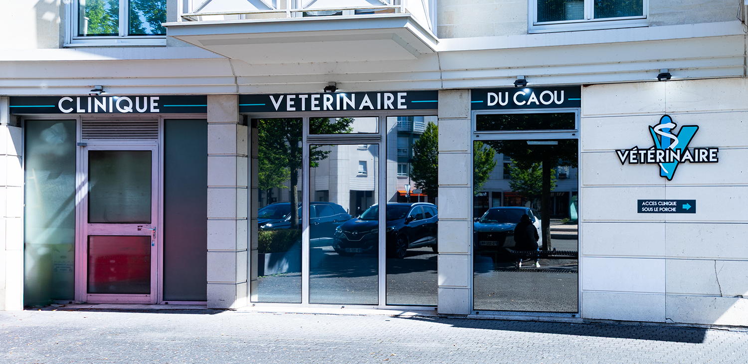 montigny le bretonneux mon véto