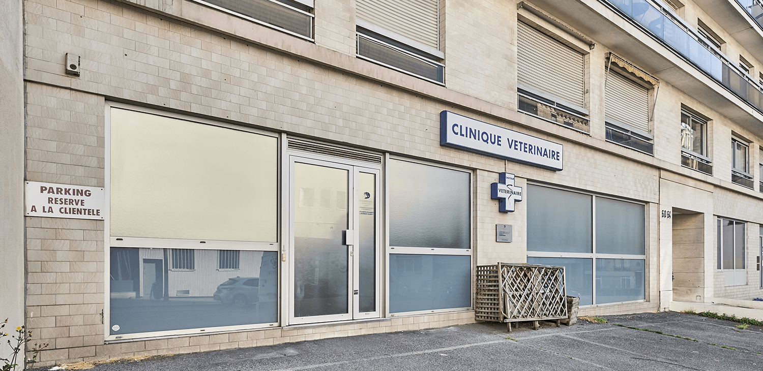 p12 decean mon véto