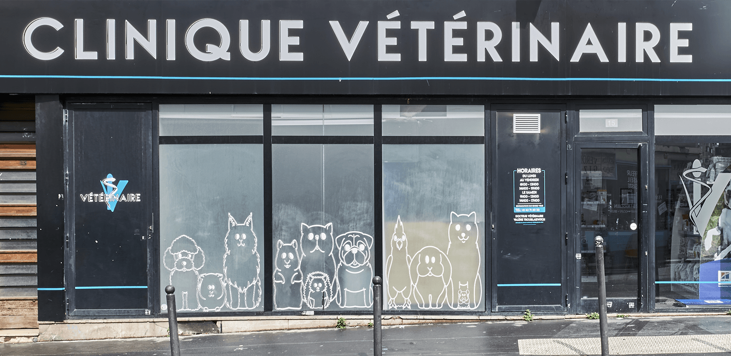 paris bagnolet mon véto