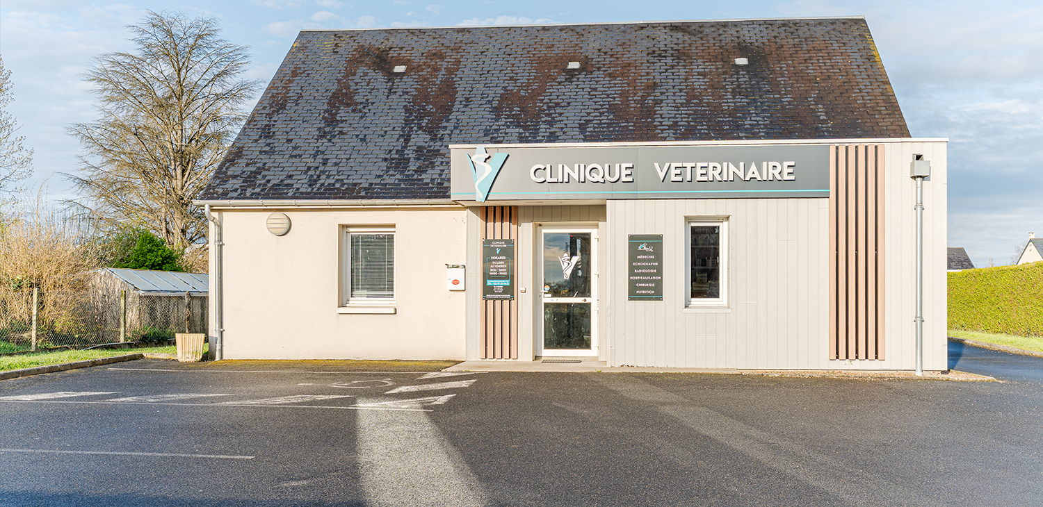 poce sur cisse mon véto