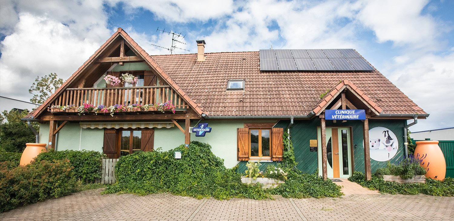 trame clinique header