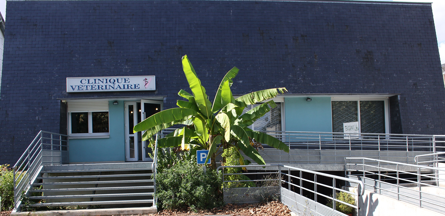 trame clinique header