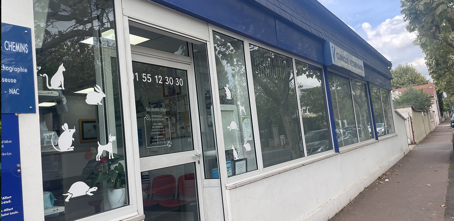 trame clinique header