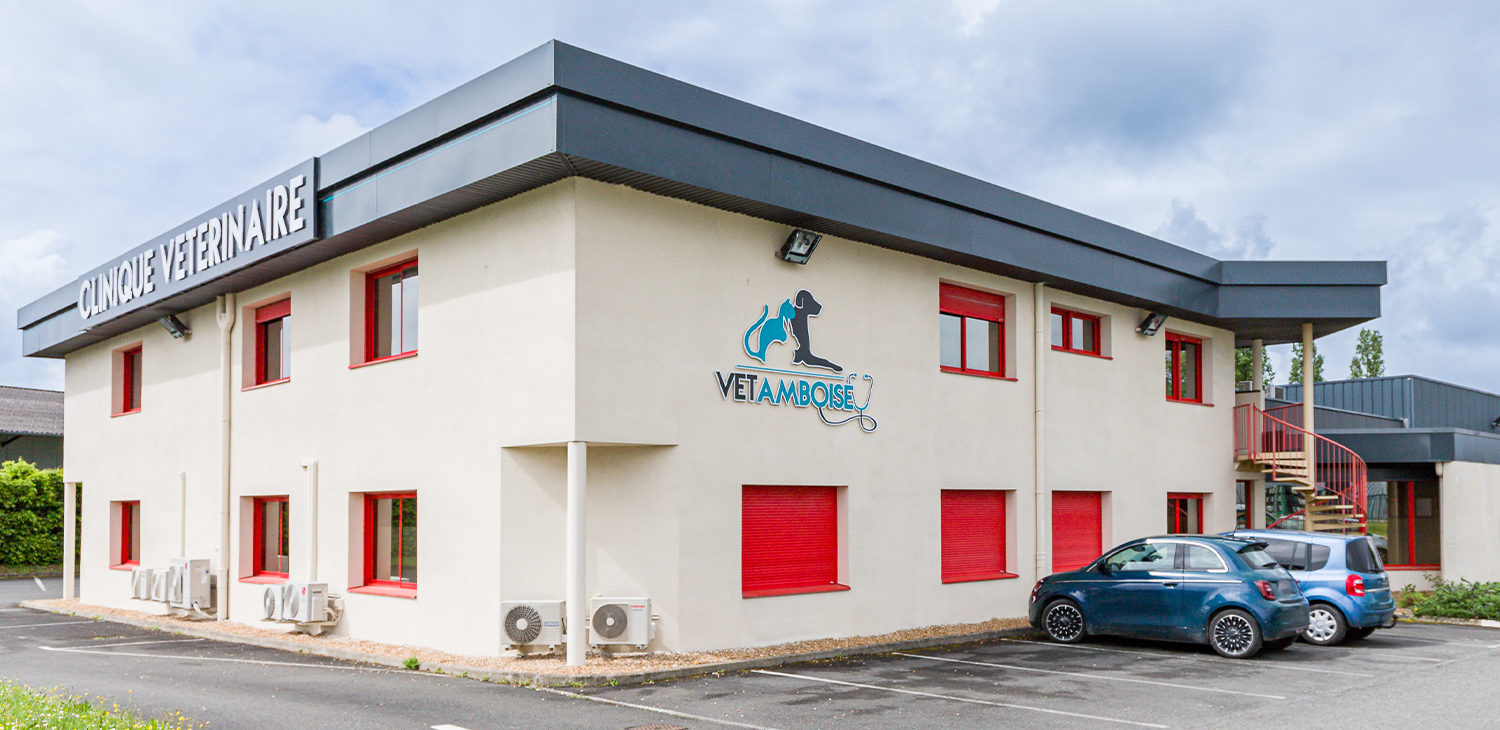 Façade clinique vétérinaire vet'amboise