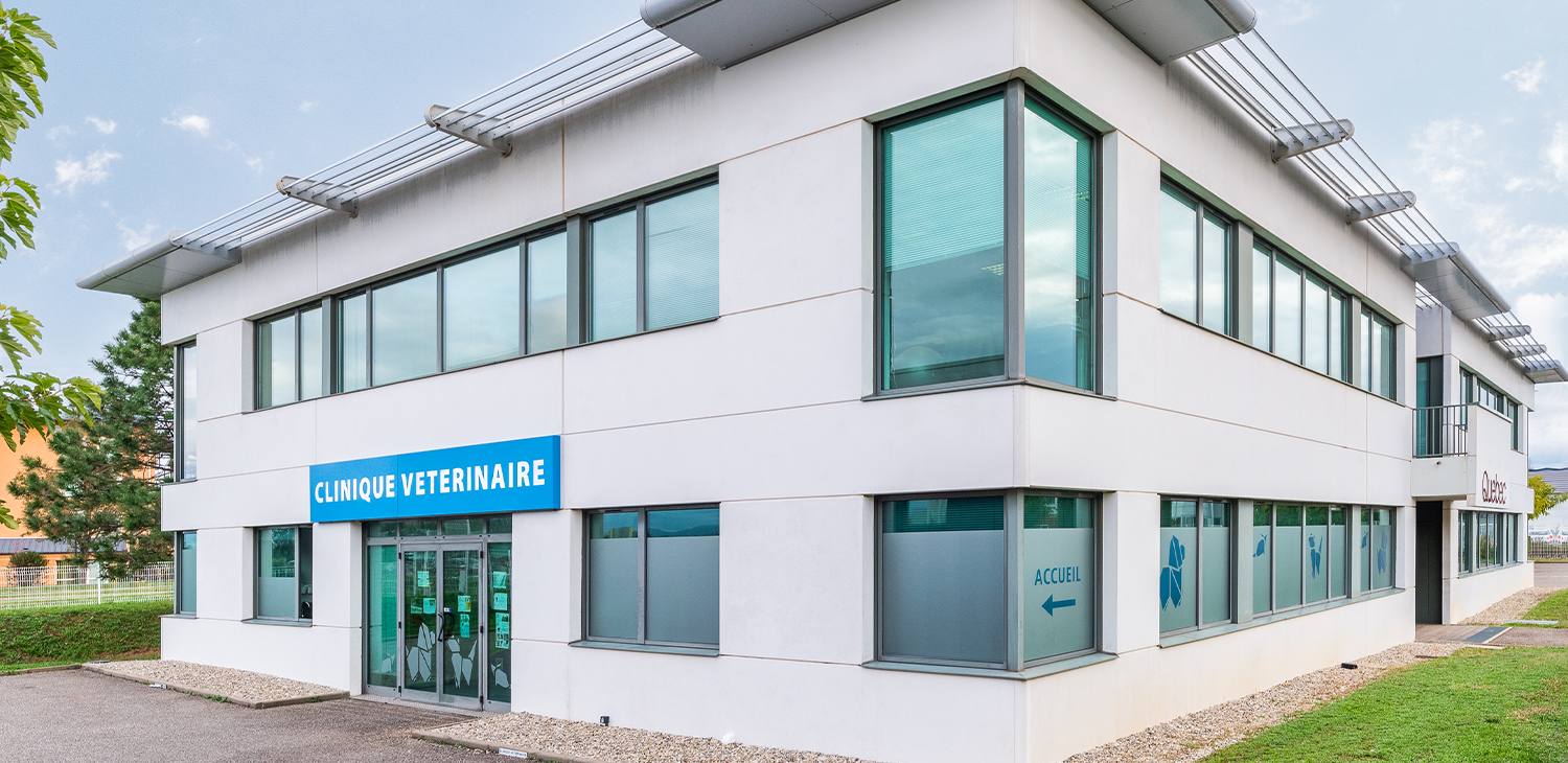 trame clinique header