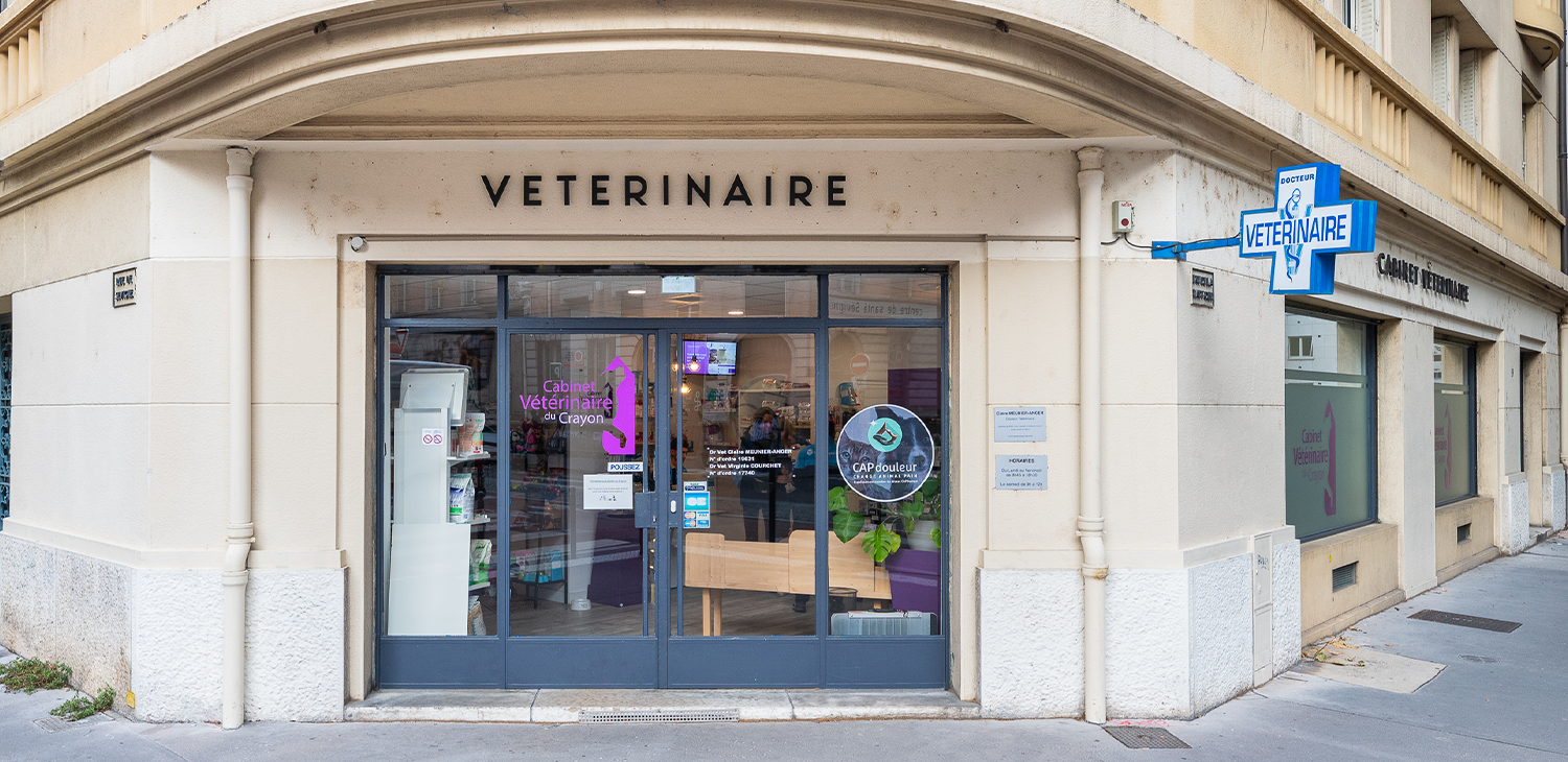 Façade clinique vétérinaire lyon crayon