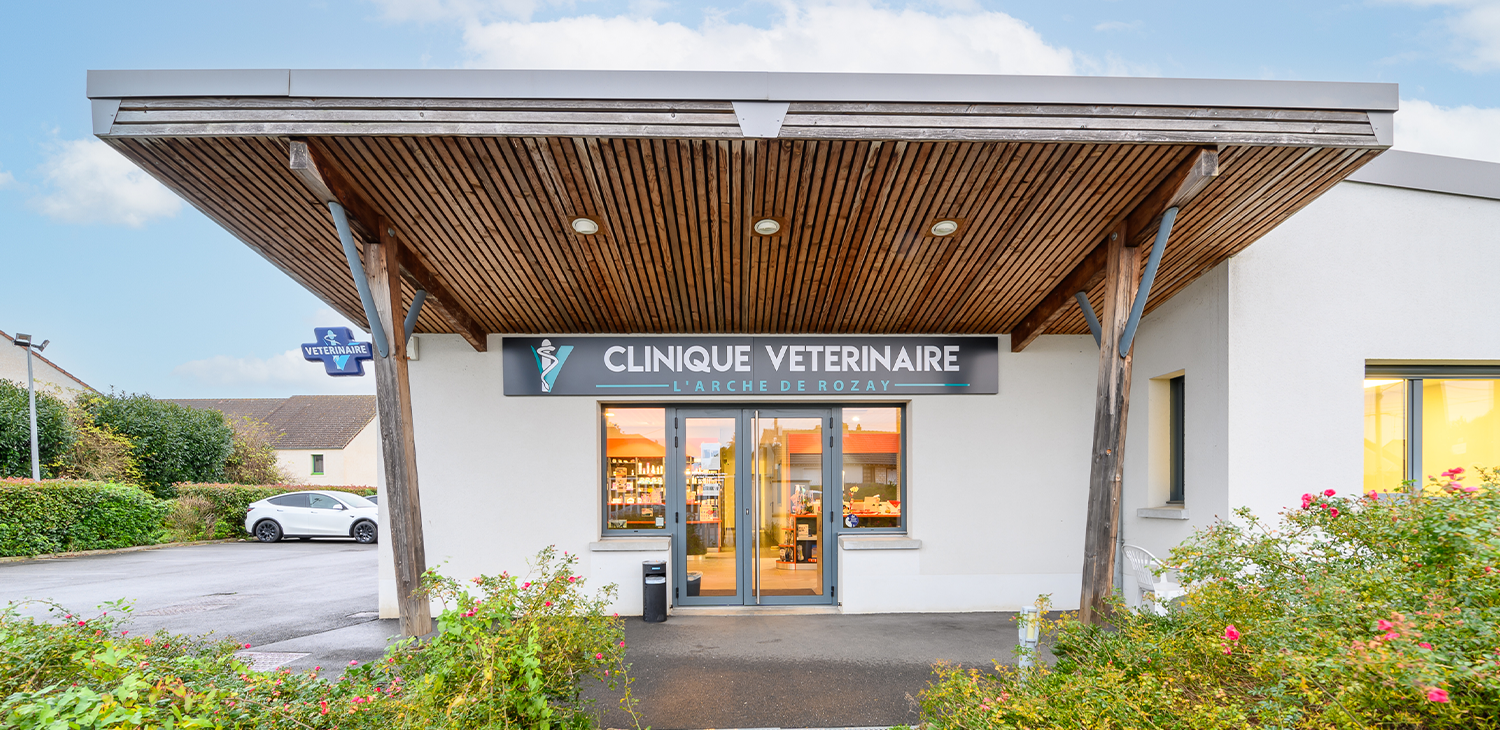 trame clinique header