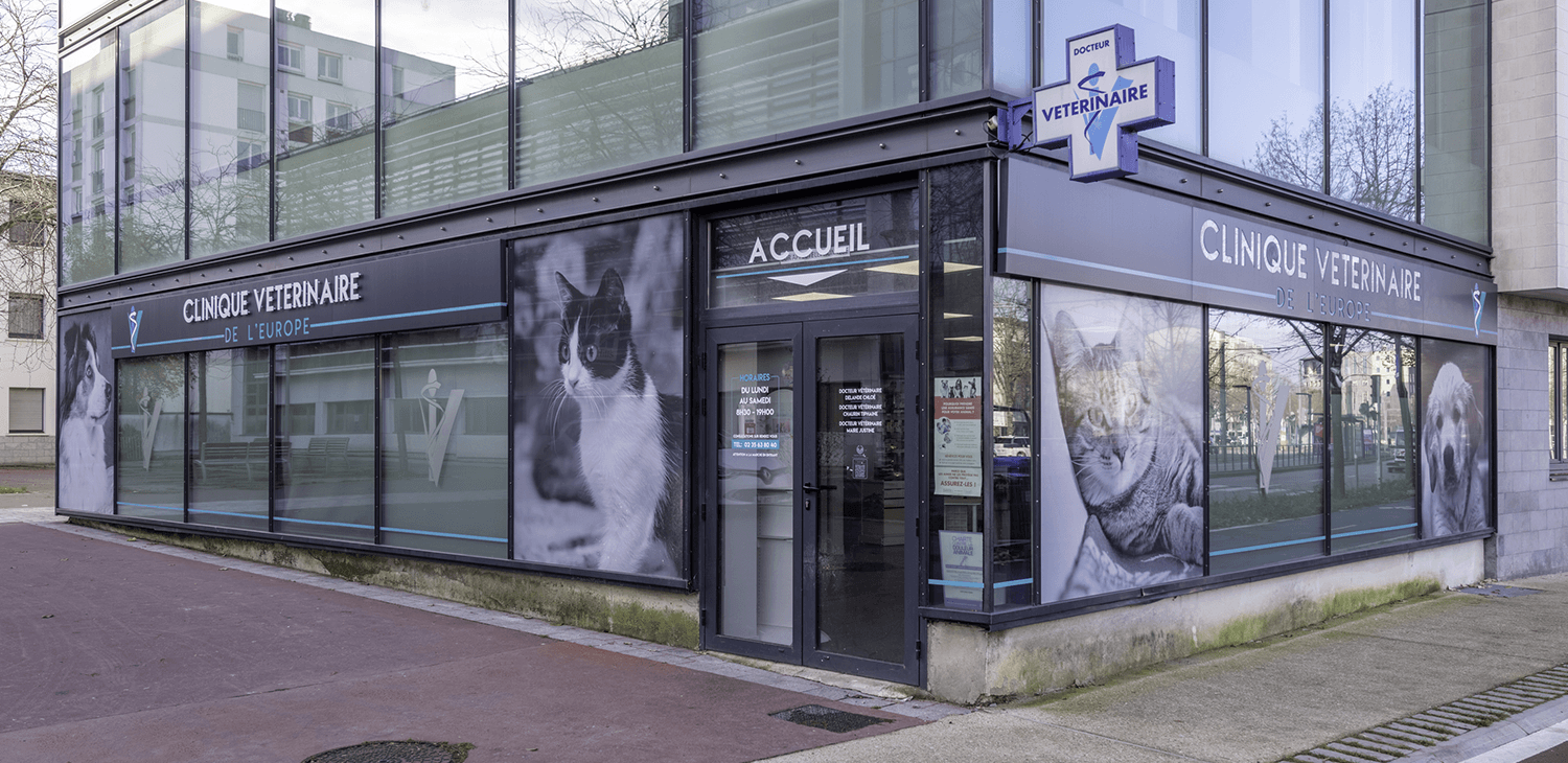 trame clinique header