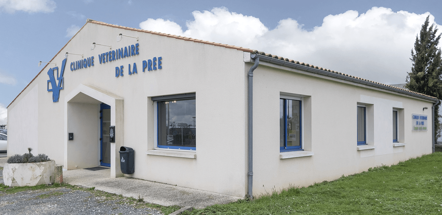 trame clinique header