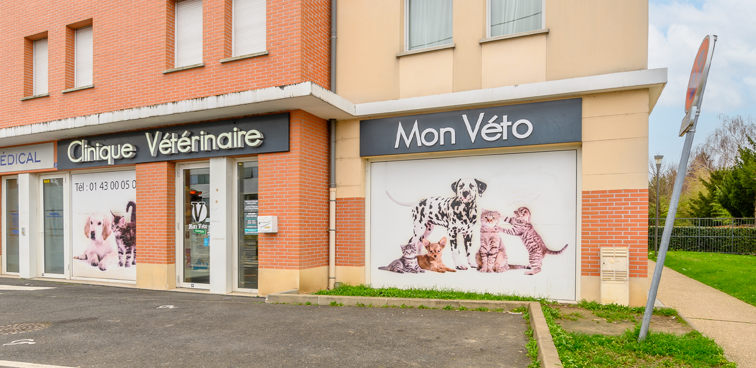 trame clinique header