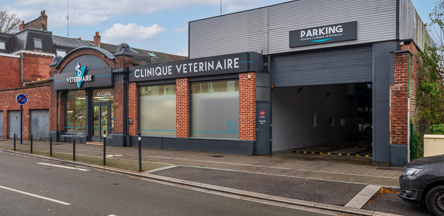 trame clinique header 2