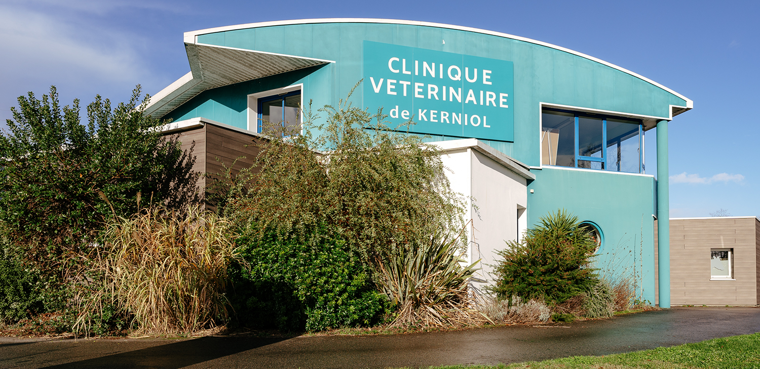 trame clinique header 2