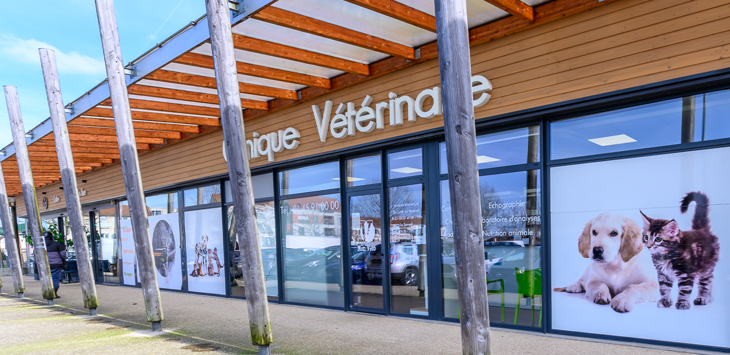 trame clinique header