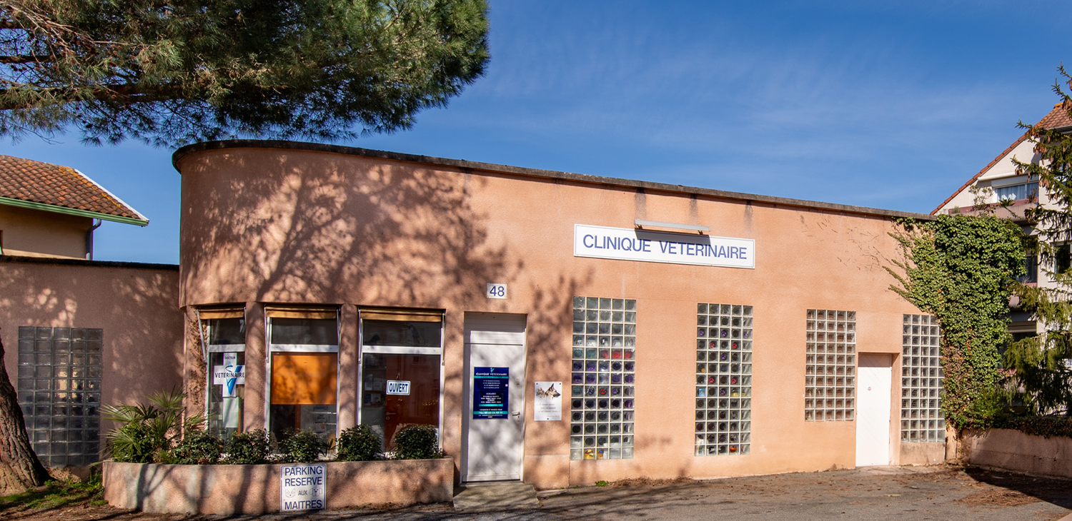 trame clinique header