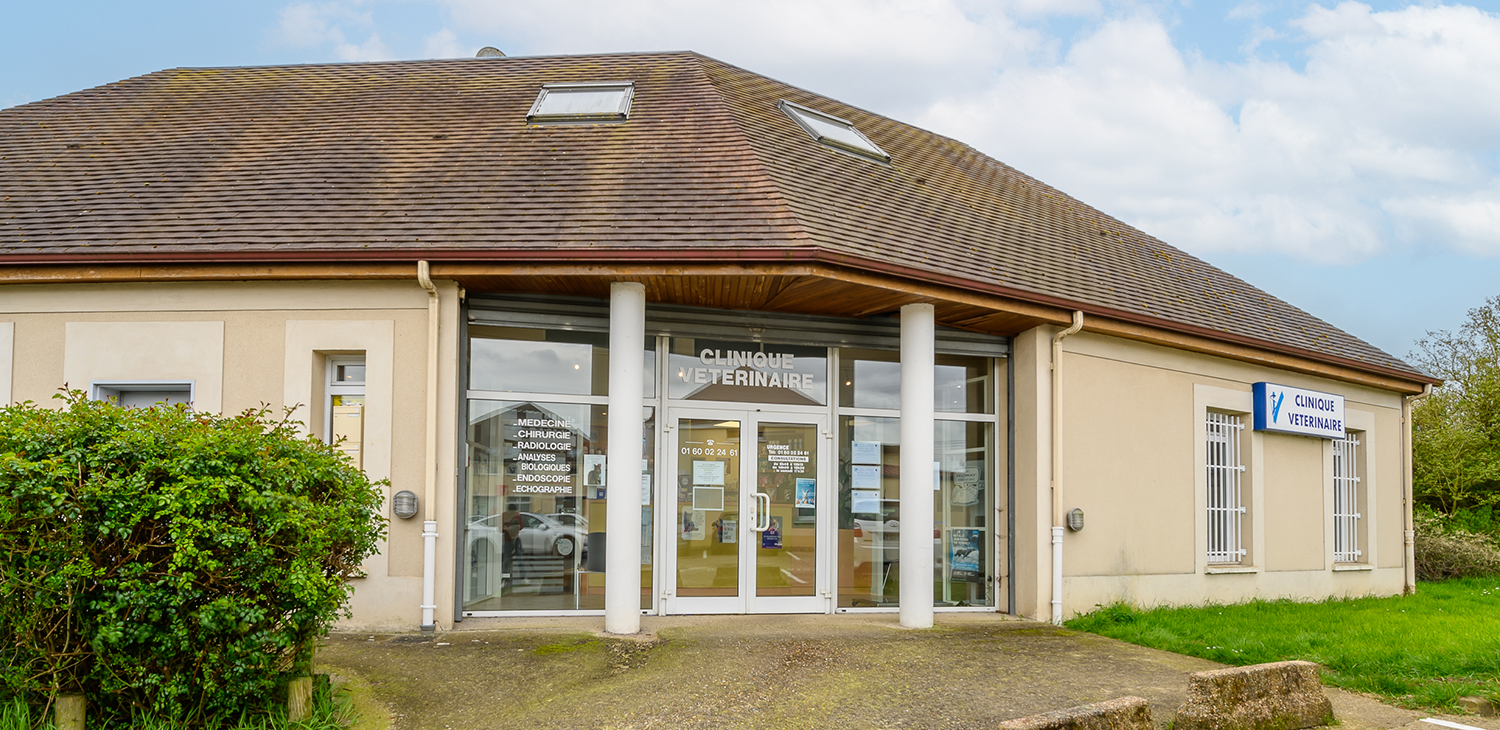 Façade beige de la clinique vétérinaire de Lésigny