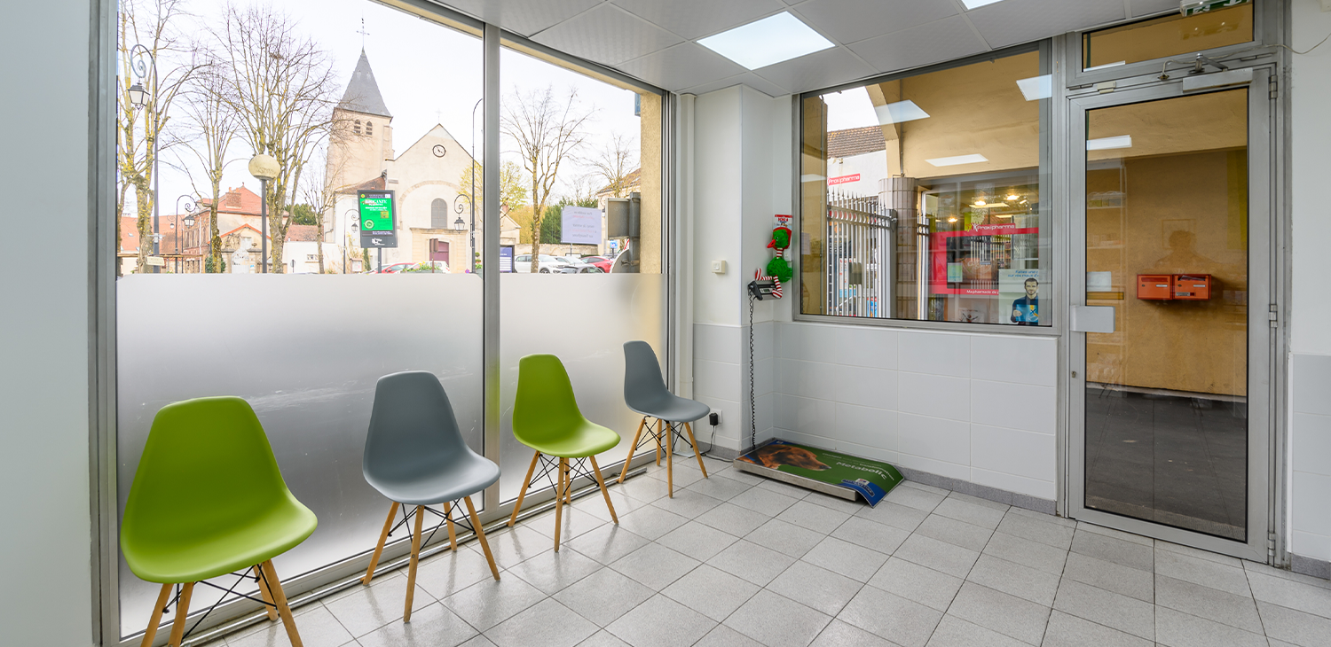 Salle d'attente verte et gris de la clinique vétérinaire de Saint-Thibault-desVignes.