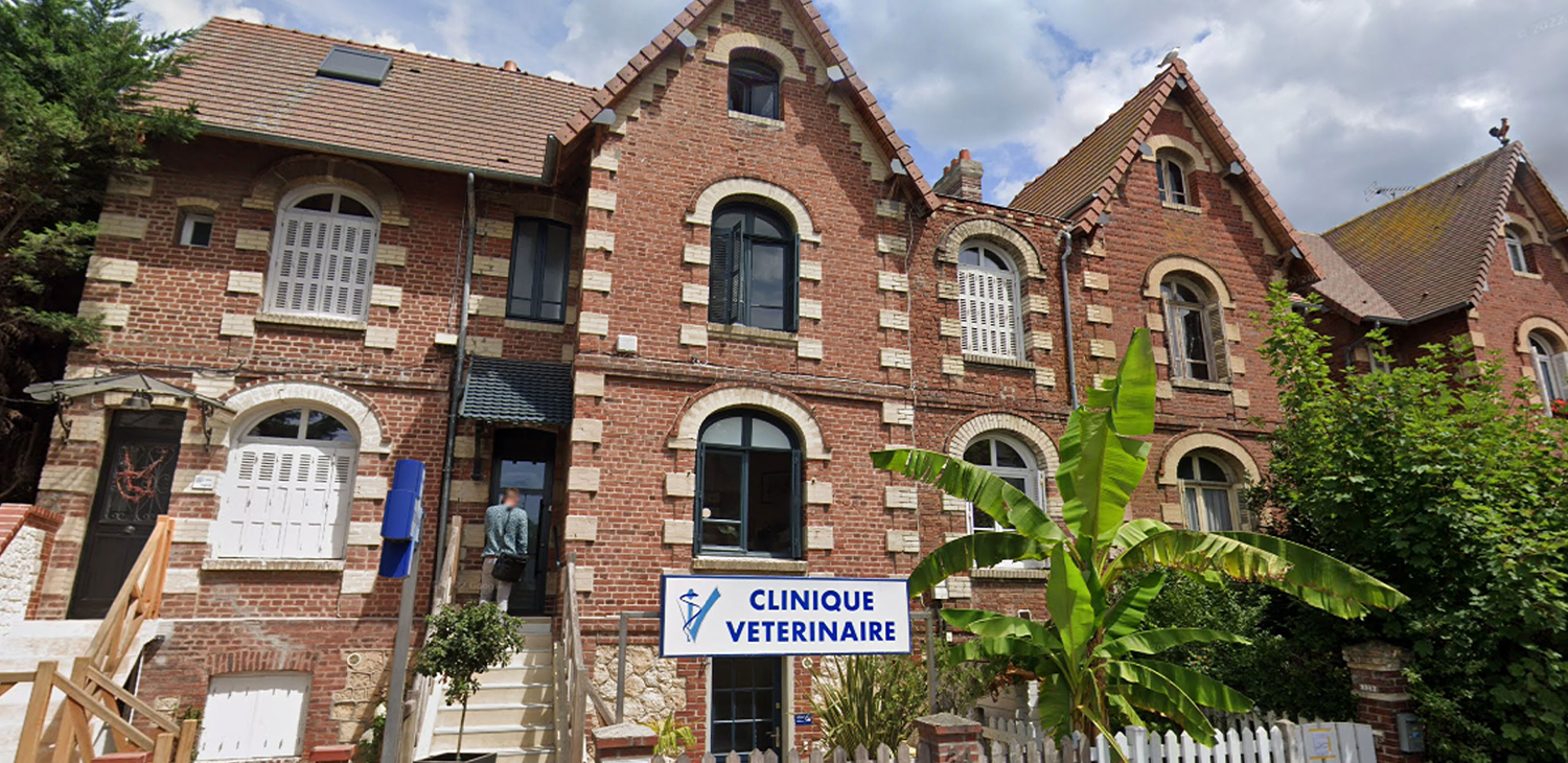 Façade en brique de la clinique vétérinaire les trouvillaises. L'accès à la clinique se fait via l'escalier.