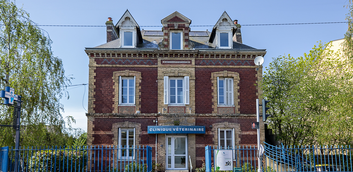 trame clinique header