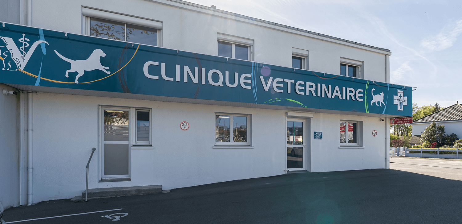 trame clinique header