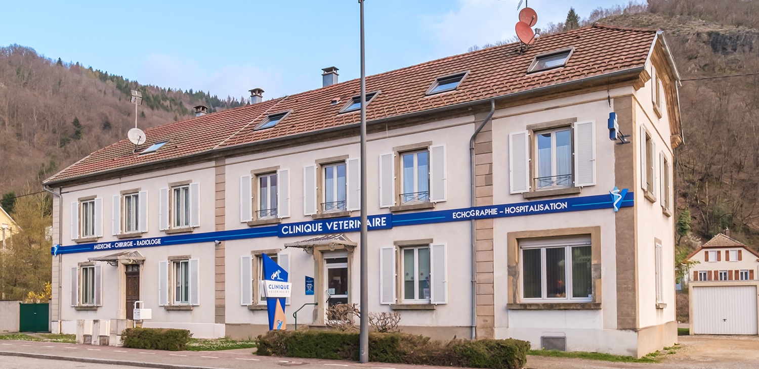 trame clinique header