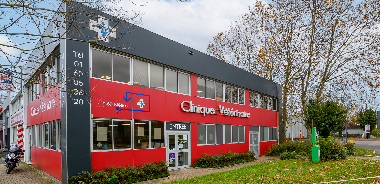 trame clinique header