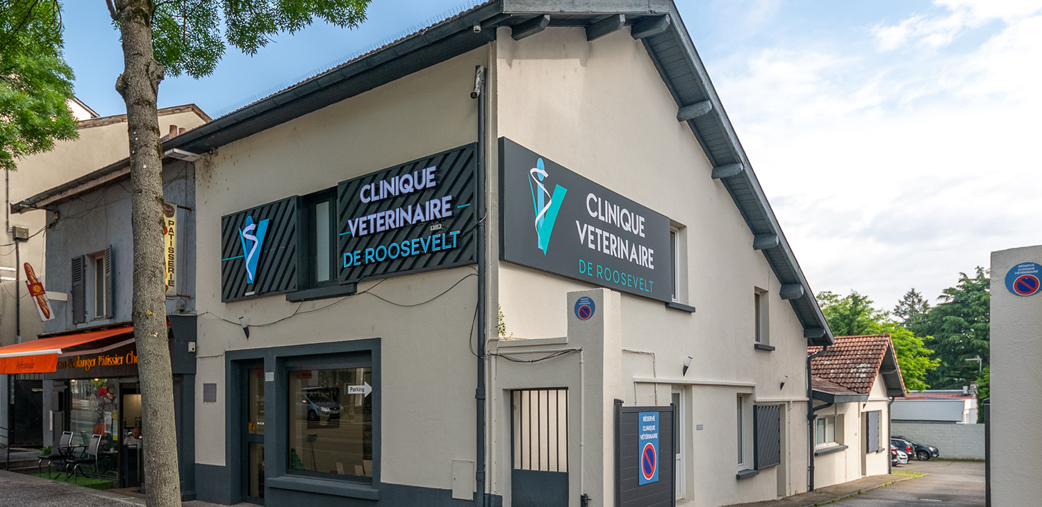 trame clinique header