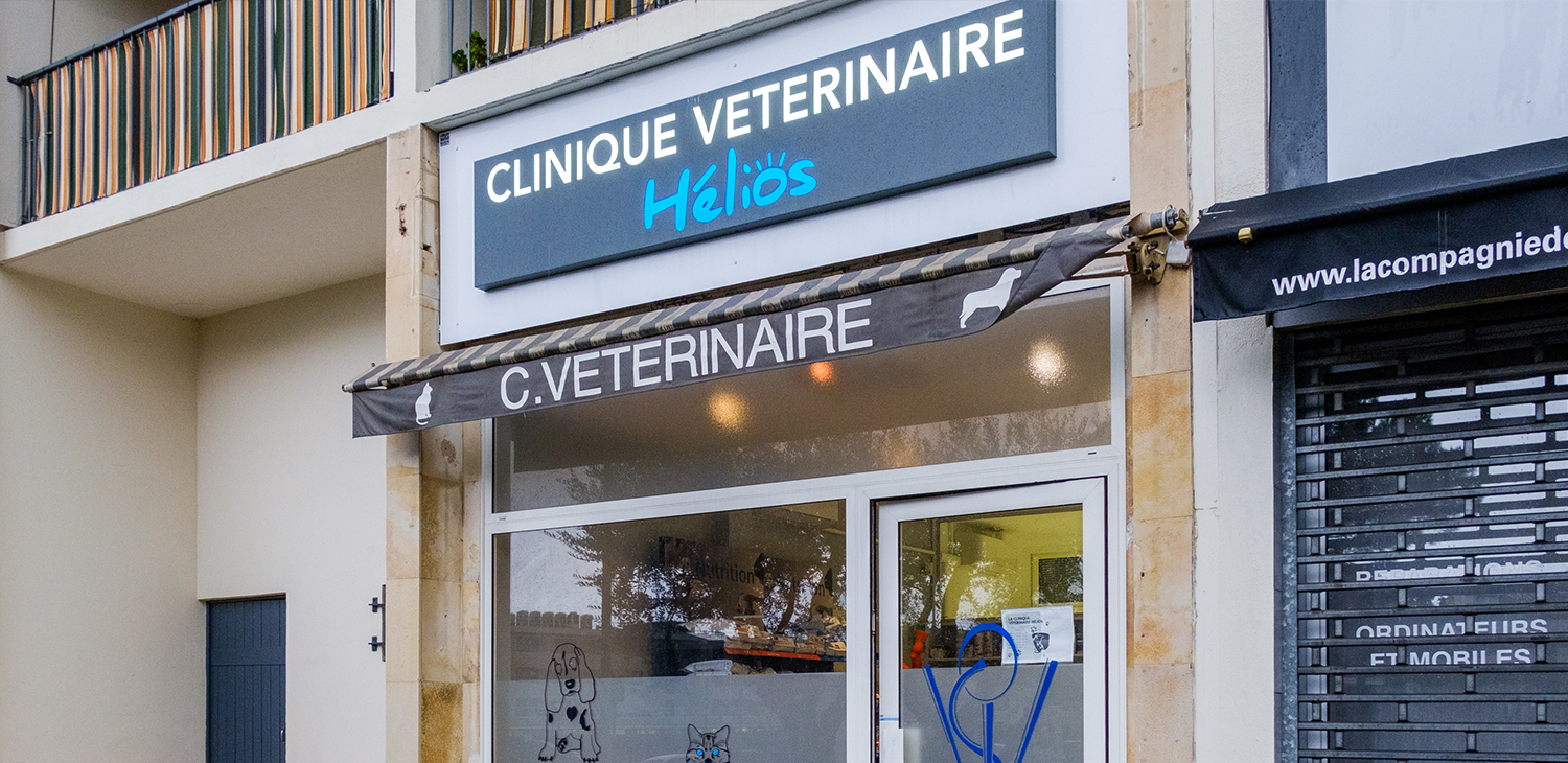 trame clinique header