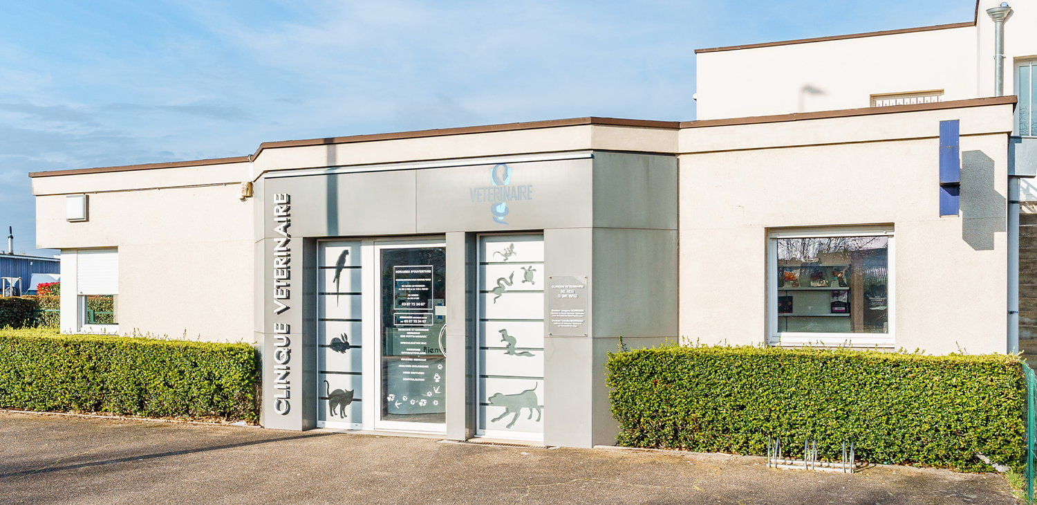 trame clinique header