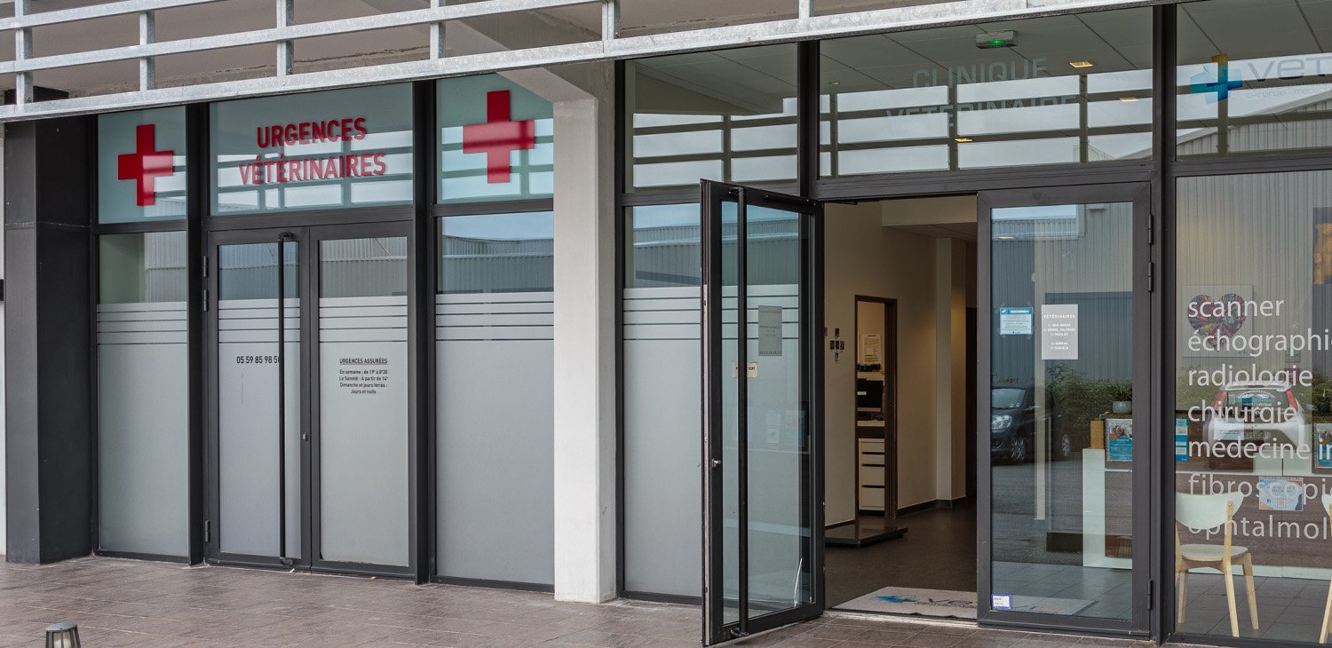 trame clinique header