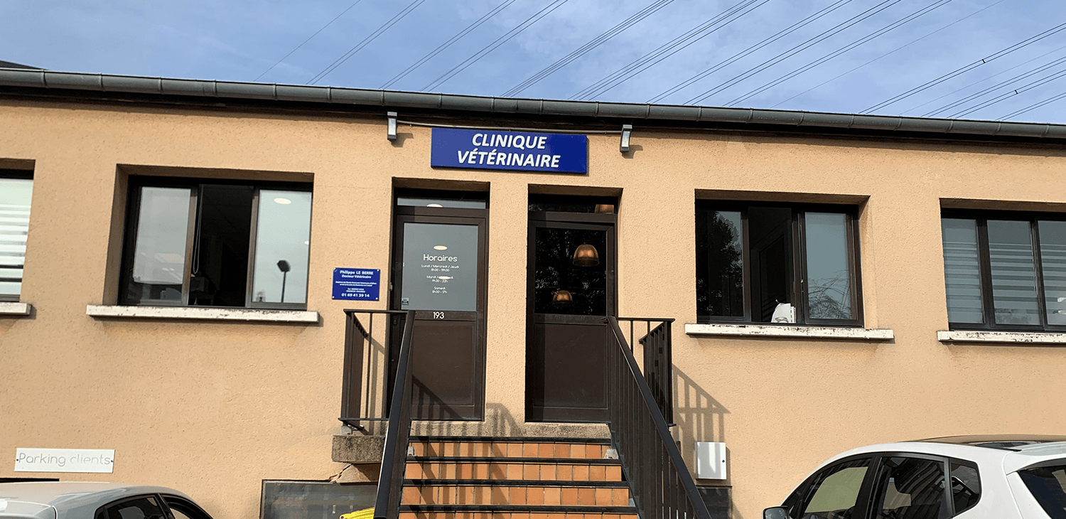 Façade clinique vétérinaire vetigny. L'accès à la clinique se fait via des escaliers.