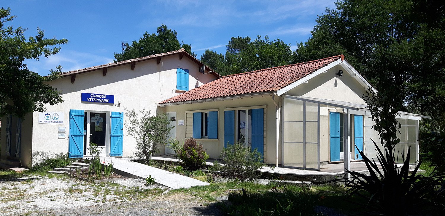 trame clinique header