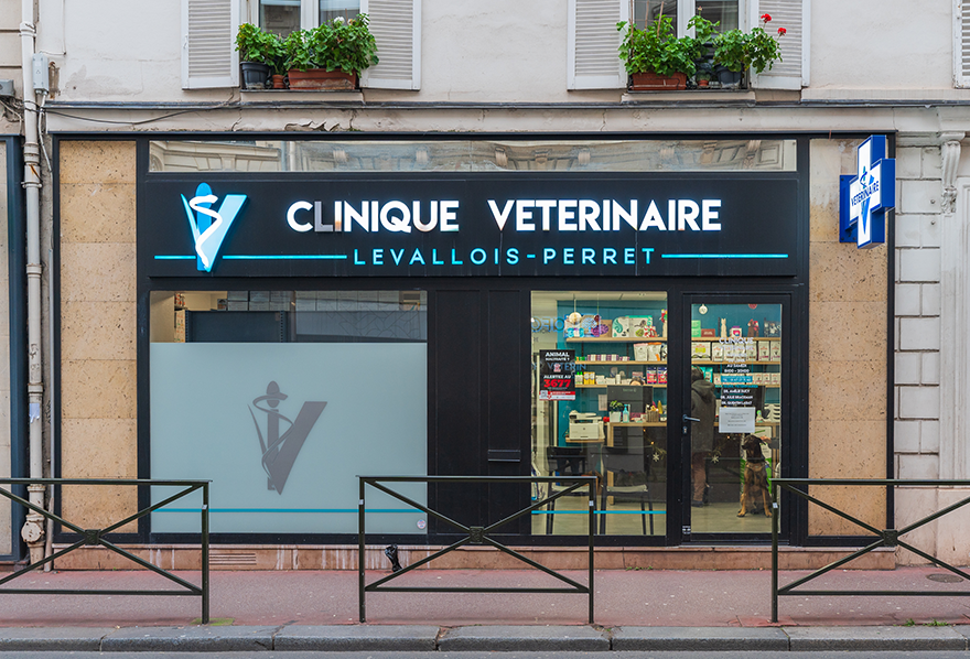 trame photos clinique