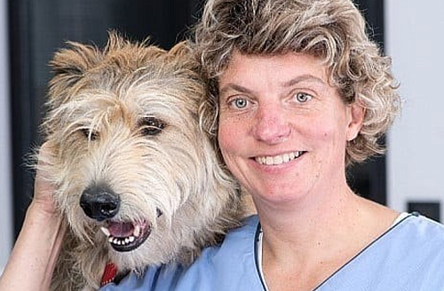 Photo de DV Wilhelm Anne-Marie