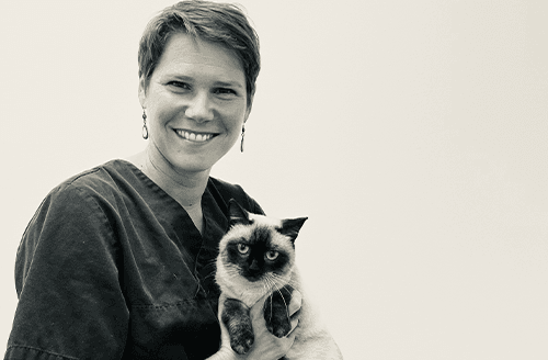 Photo de DV Lardy Susie