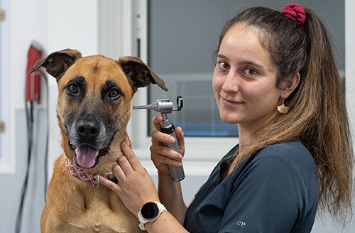 Photo de DV Brizon Charlotte