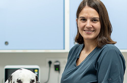 Photo de DV Devienne Claire