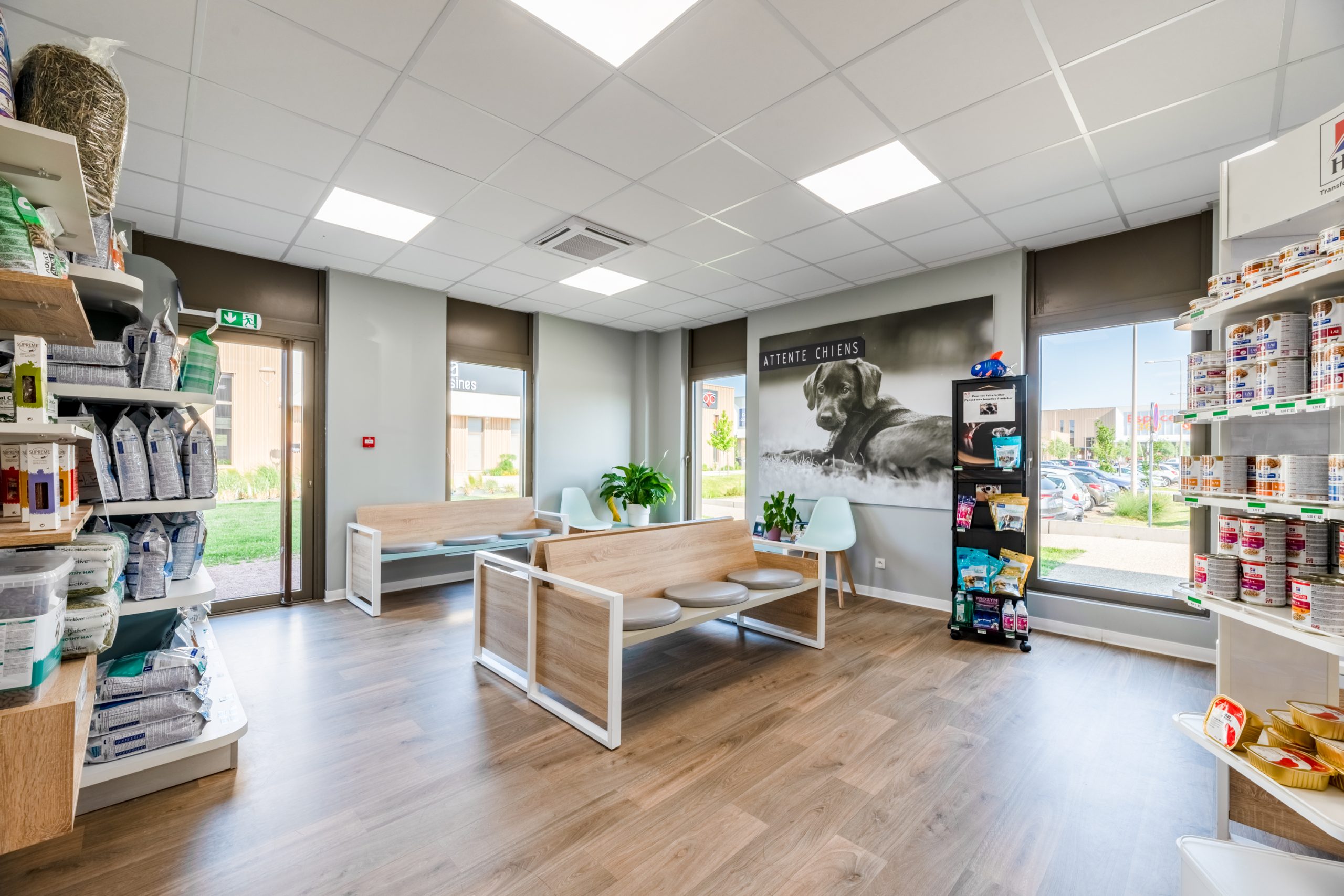 cliniqueveterinairenormandia tourvillelariviere 3