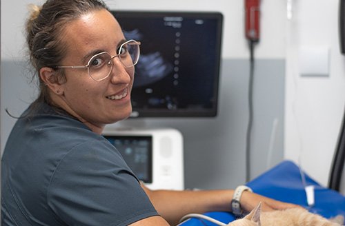 Photo de DV Marivoet Loreleï 