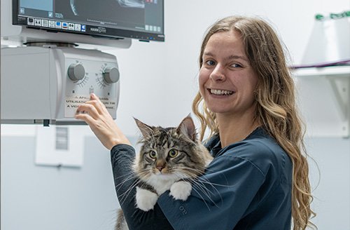 Photo de DV Grillet Manon