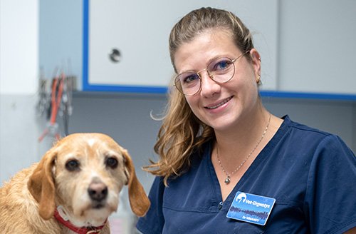 Photo de DV Vinandy Manon