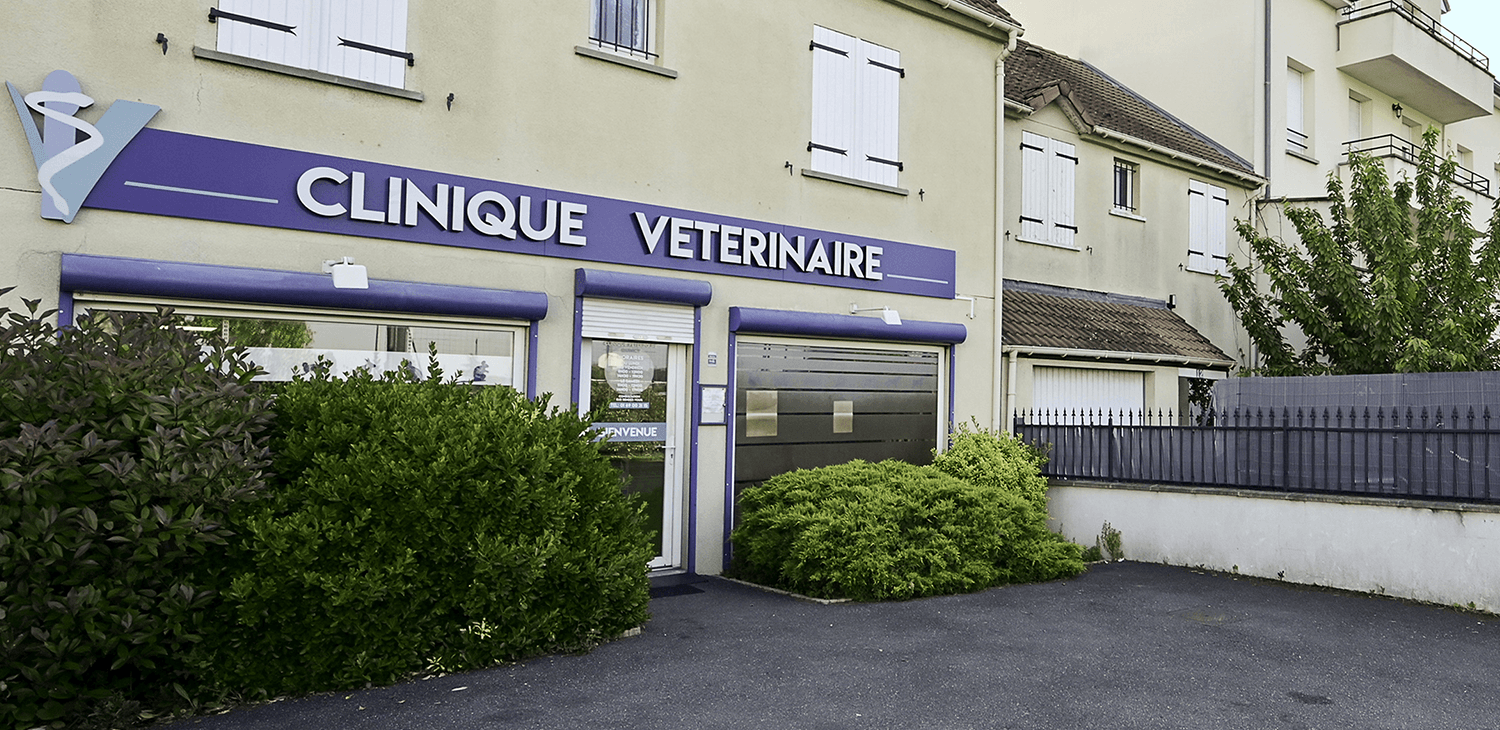 quincy sous sénard mon véto