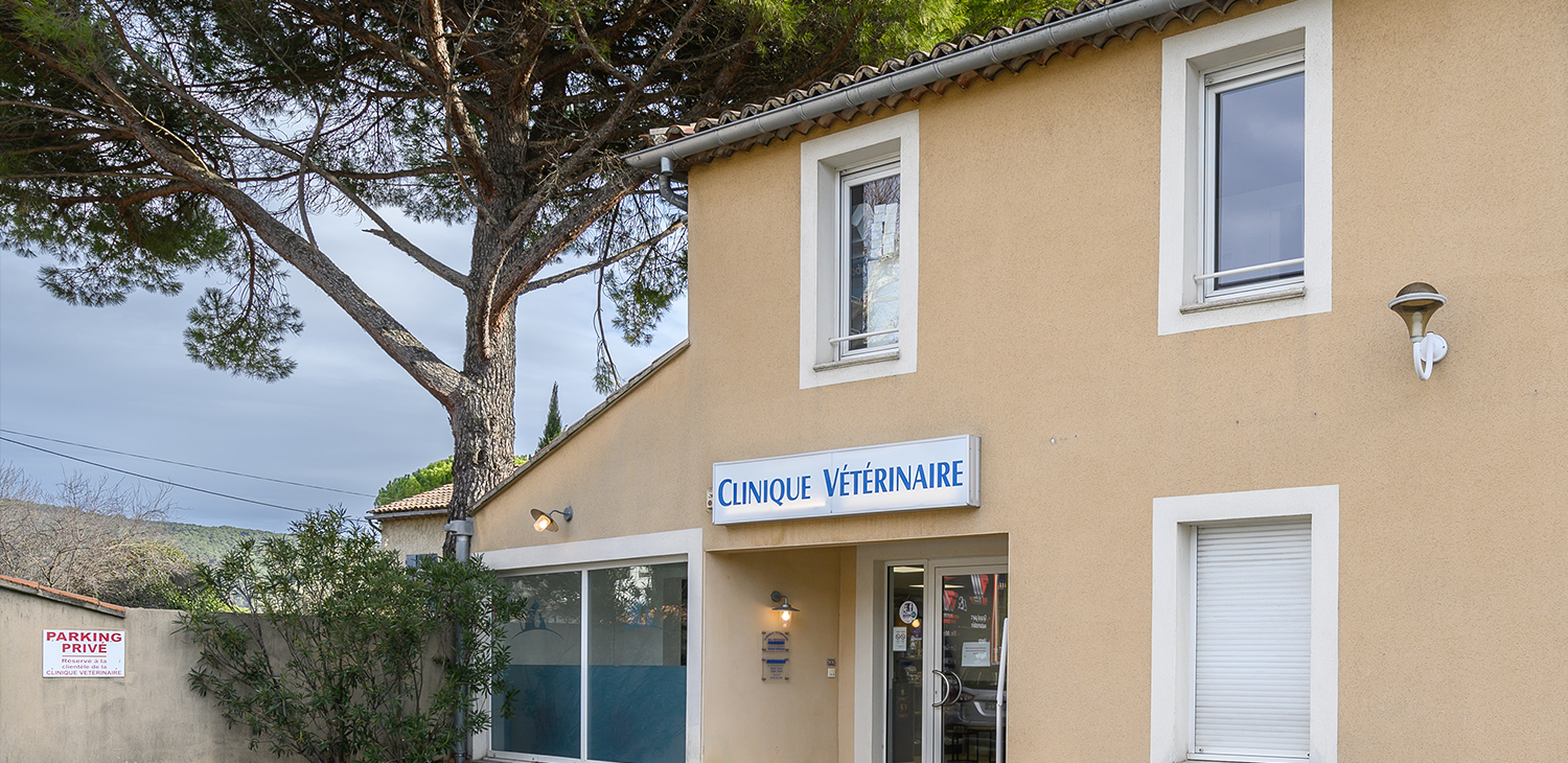 trame image mise en avant