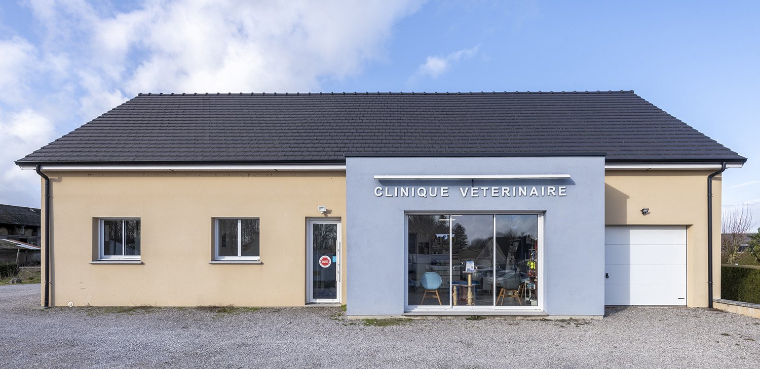 trame image mise en avant